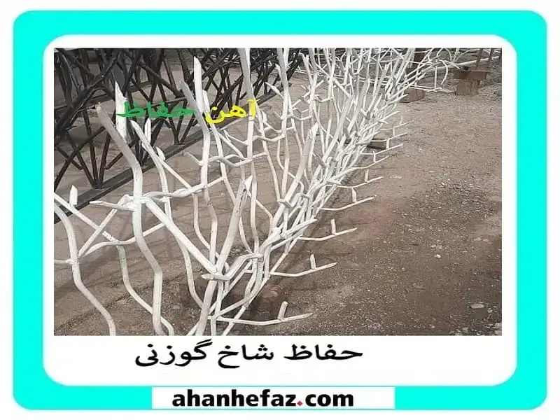 حفاظ شاخ گوزنی حفاظ شاخ گوزنی دیواری