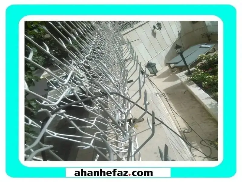 حفاظ شاخ گوزنی بهترین حفاظ شاخ گوزنی