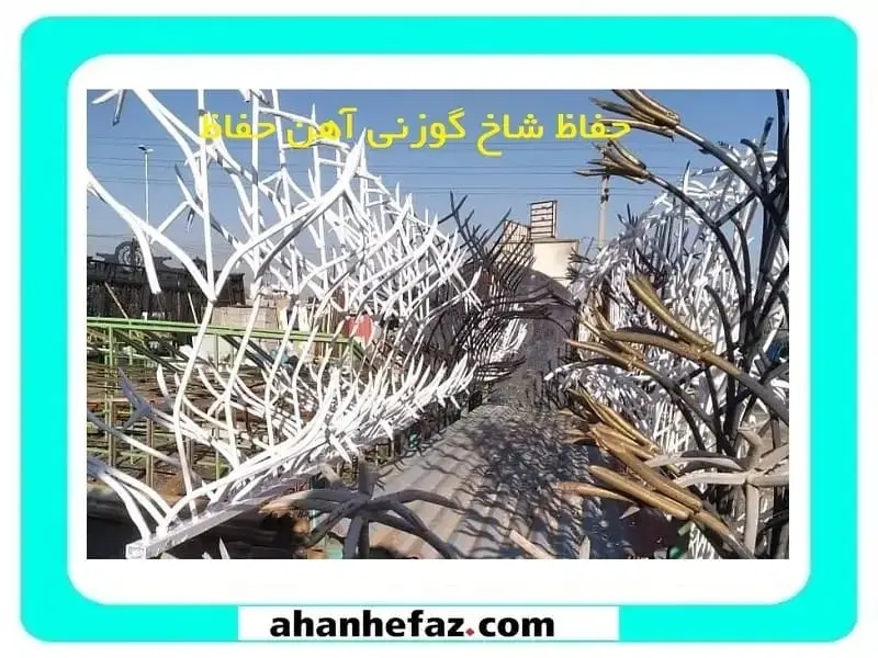 حفاظ شاخ گوزنی فروشگاه حفاظ شاخ گوزنی