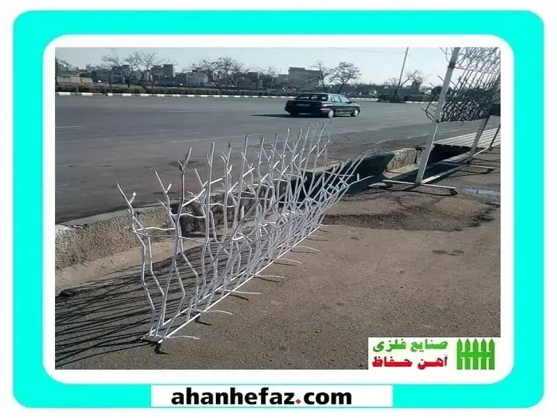 حفاظ شاخ گوزنی عکس حفاظ شاخ گوزنی