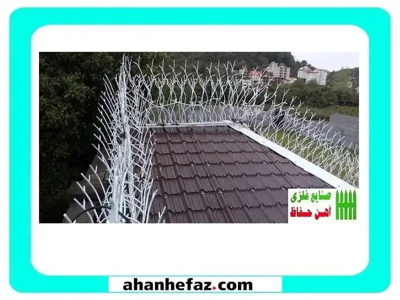 حفاظ شاخ گوزنی سفارش حفاظ شاخ گوزنی