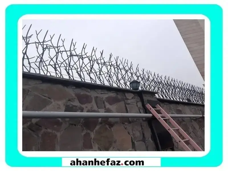 حفاظ شاخ گوزنی محافظ شاخ گوزنی