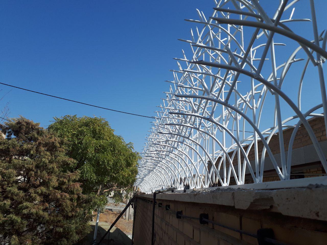 قیمت حفاظ نیزار