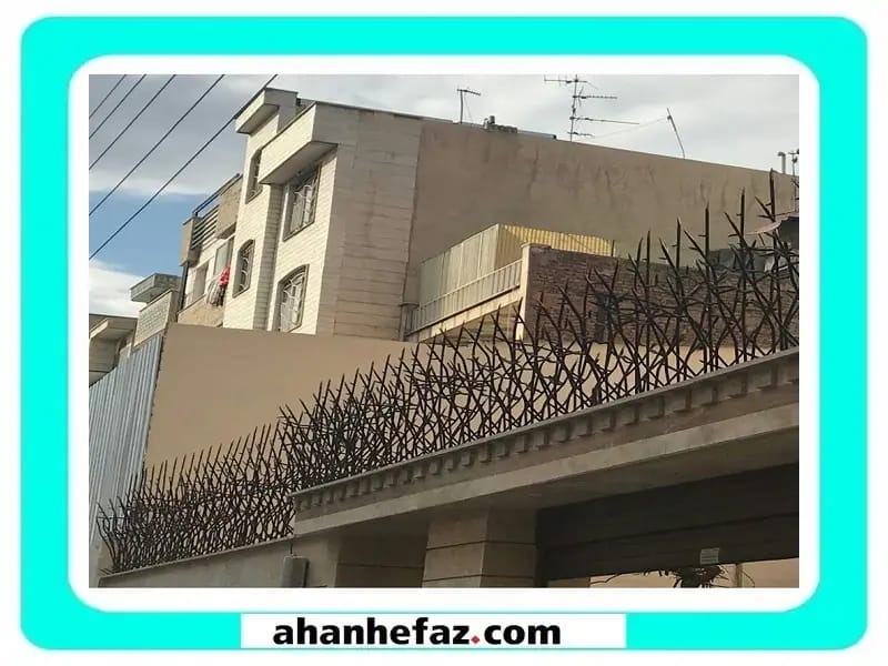 حفاظ شاخ گوزني