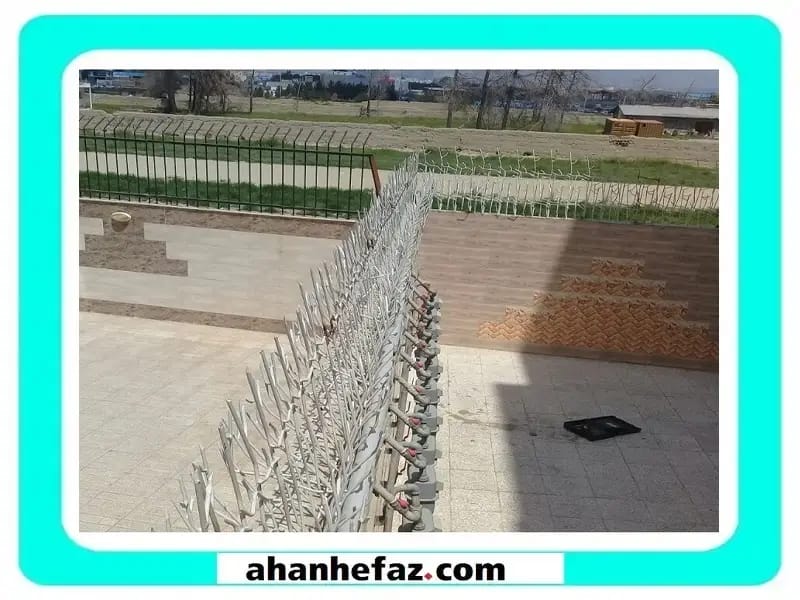 قیمت خرید حفاظ شاخ گوزنی برای روی دیوار حیاط